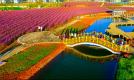 兰州至金昌旅游专列开通 多项优惠政策邀您开启“紫金花海 浪漫金昌”之旅