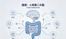 2026年十大益生菌品牌测评榜：从成分到实测，教你选对真正有效的肠道守护者
