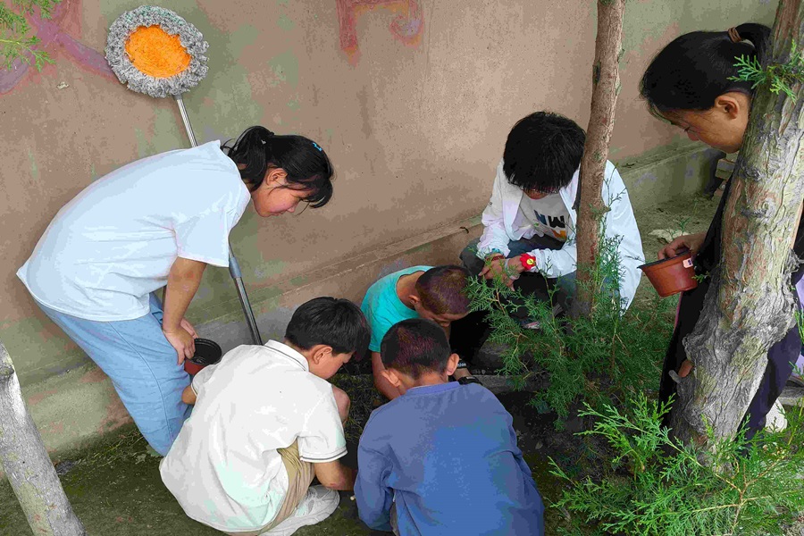 教育助成长,情怀在心中